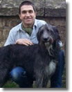 Dog Obedience Video