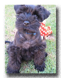 I'm the Cutest!