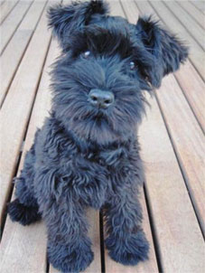Mr Super Cute!