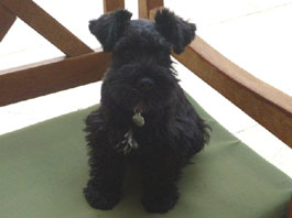 Butter Wouldn't Melt...