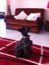 At attention!