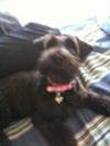 At 8 weeks old